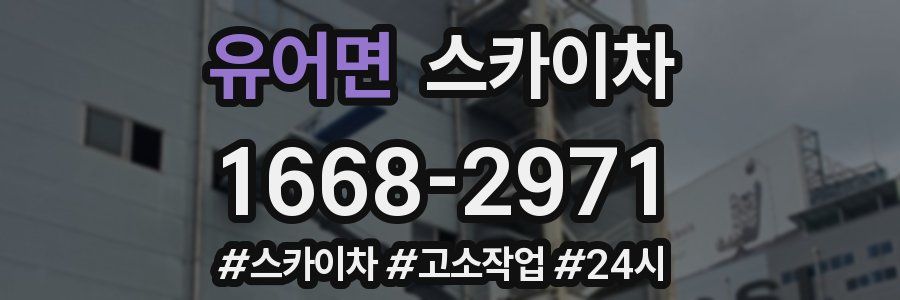 유어면 스카이차