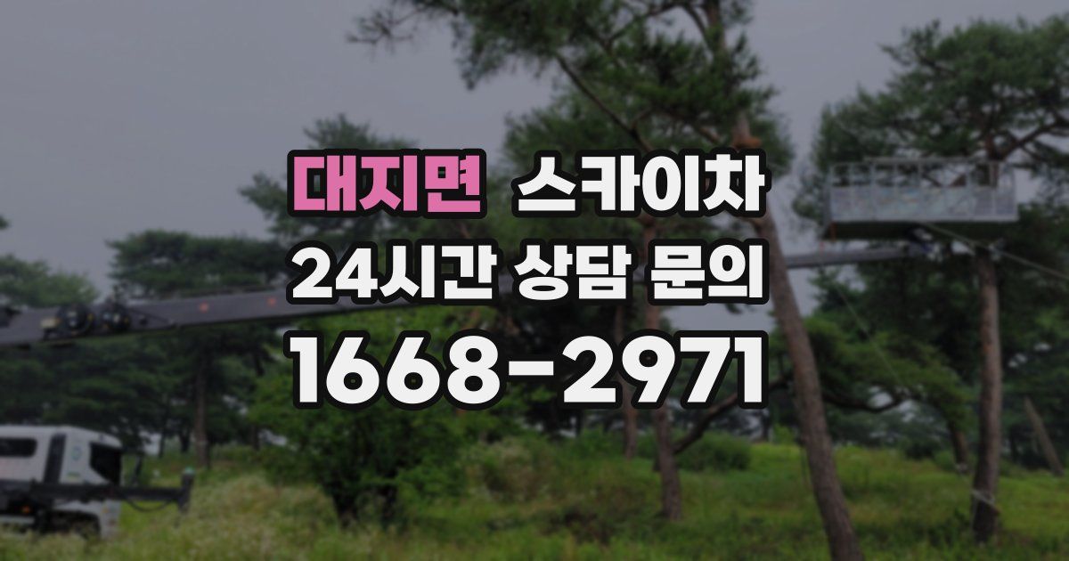 대지면 스카이차