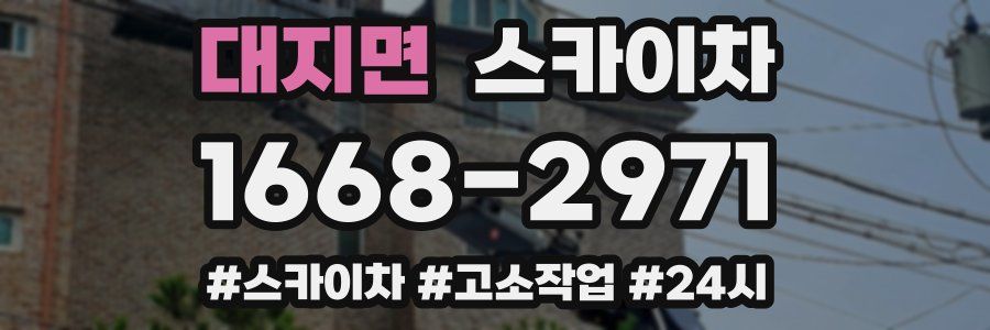 대지면 스카이차