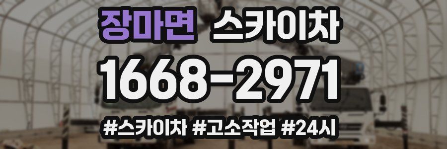 장마면 스카이차