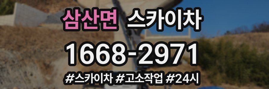 삼산면 스카이차