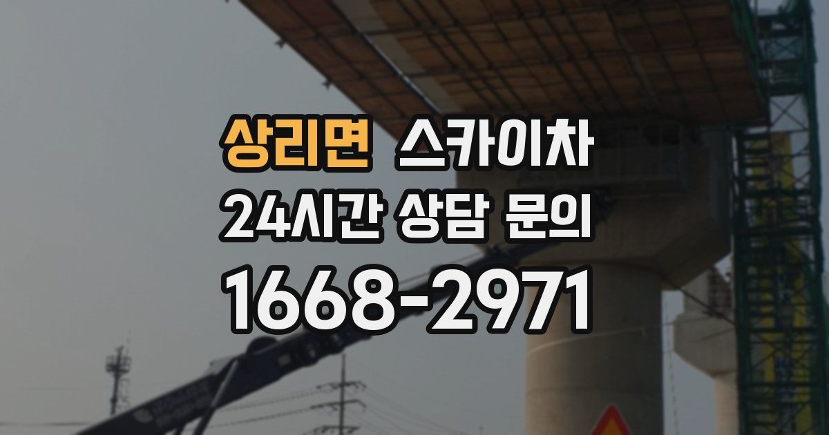 상리면 스카이차