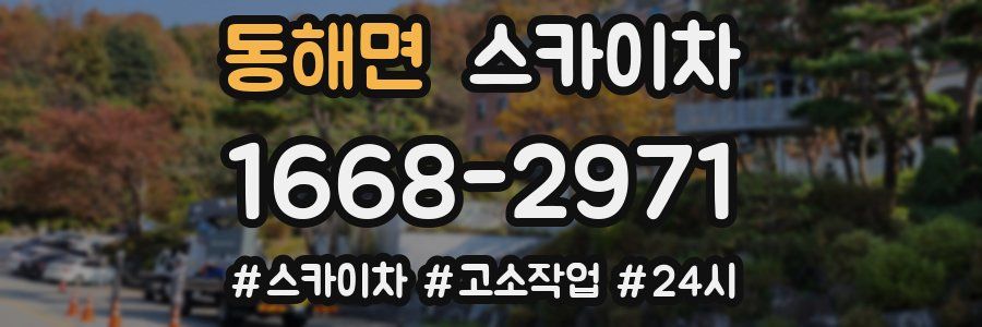 동해면 스카이차