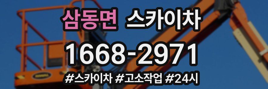 삼동면 스카이차