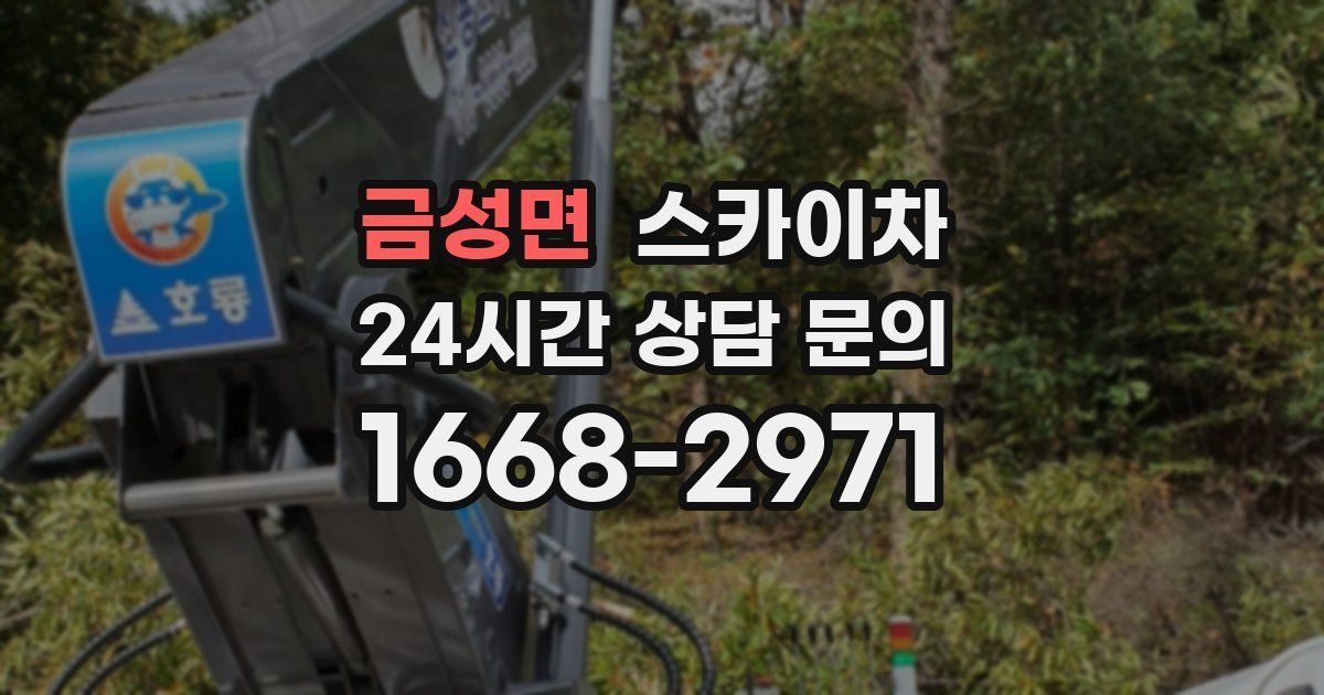 금성면 스카이차