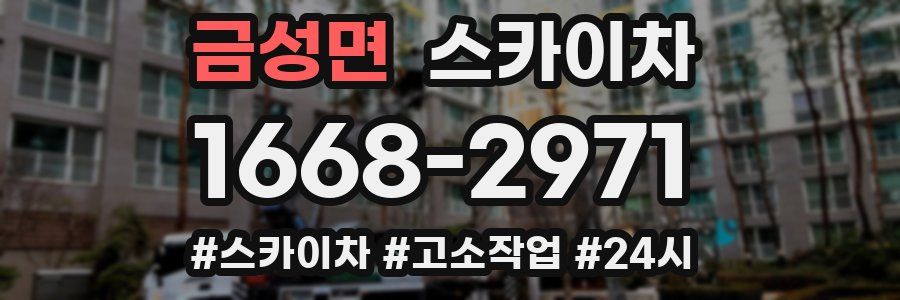 금성면 스카이차