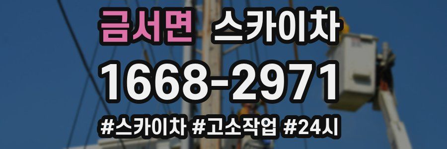 금서면 스카이차