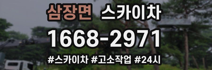 삼장면 스카이차