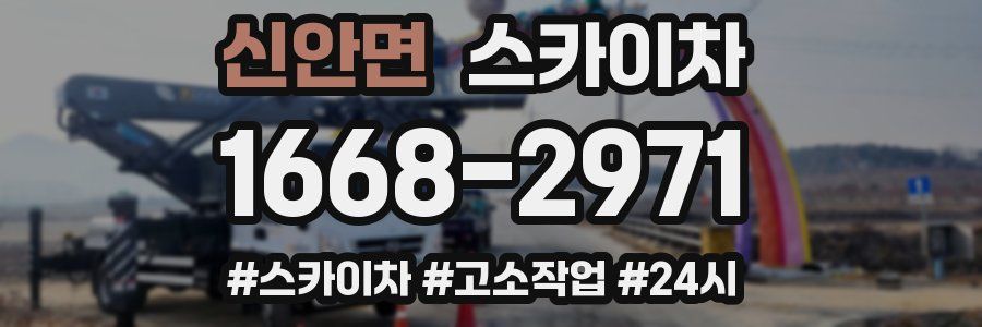 신안면 스카이차