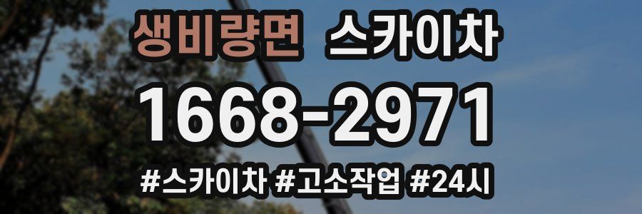 생비량면 스카이차