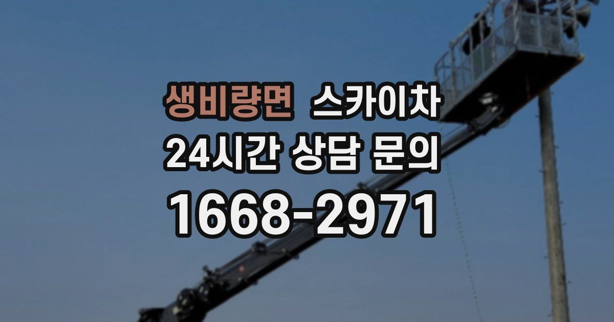 생비량면 스카이차