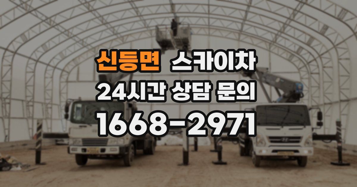 신등면 스카이차