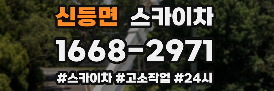 신등면 스카이차