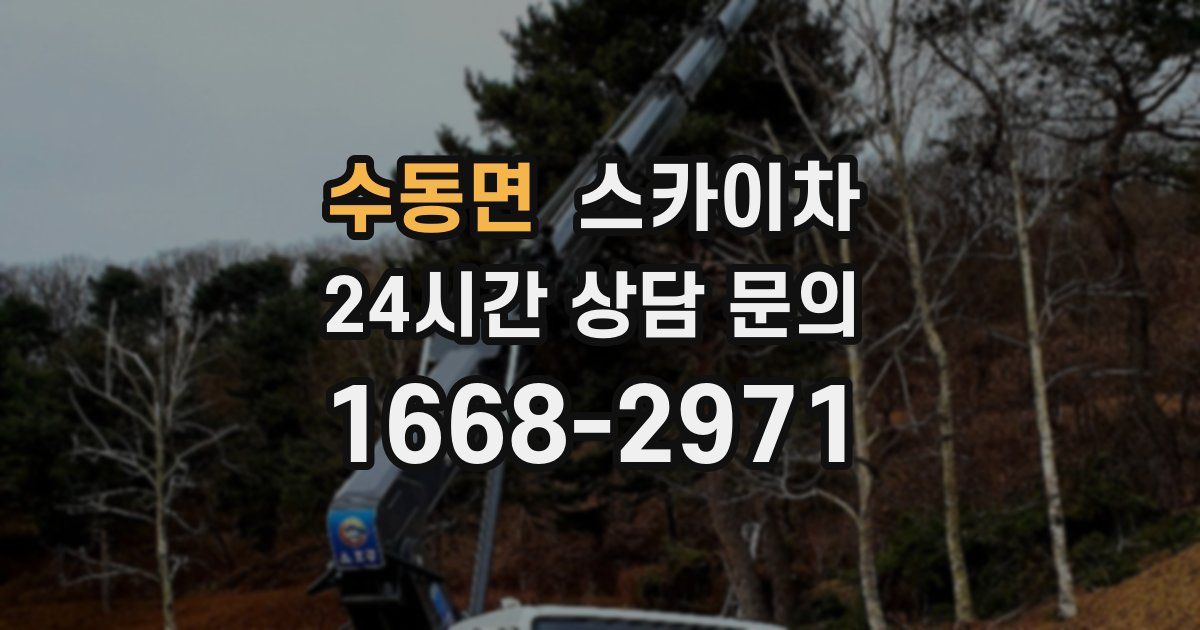 수동면 스카이차