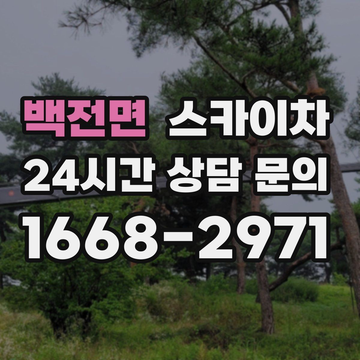 백전면 스카이차 외부 조명 설치와 교체 작업 팁