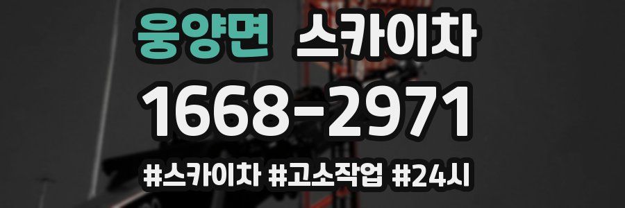 웅양면 스카이차