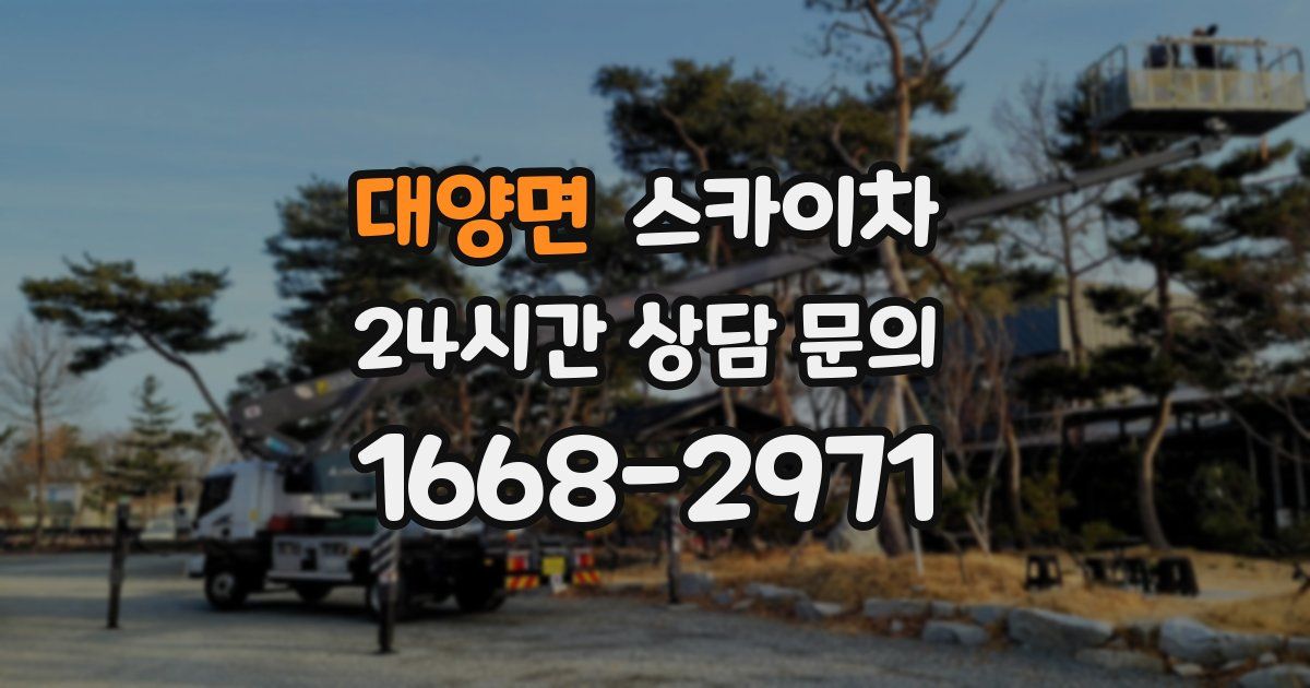 대양면 스카이차