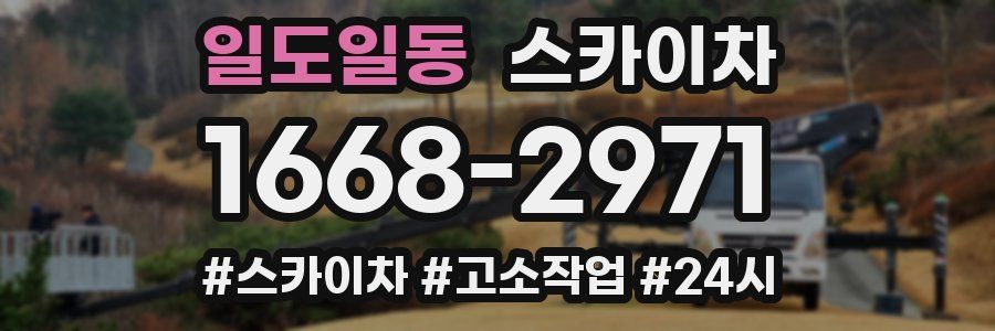 일도일동 스카이차