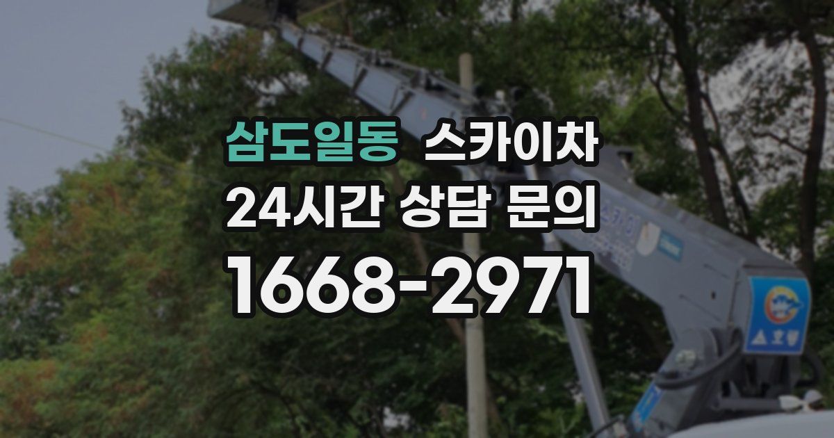 삼도일동 스카이차