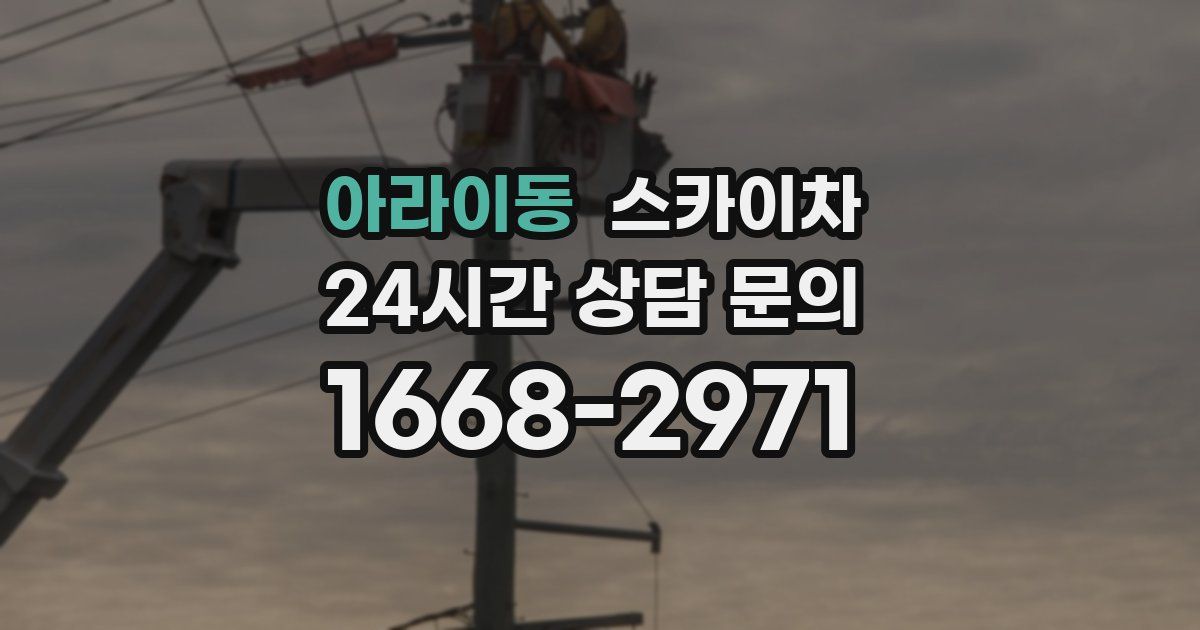 아라이동 스카이차