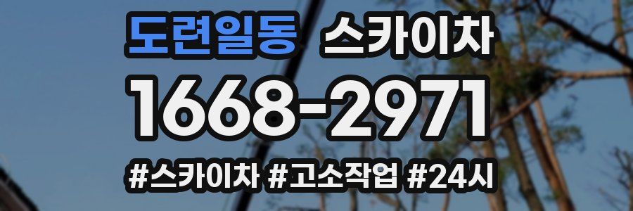 도련일동 스카이차