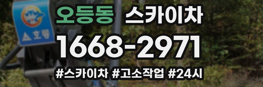 오등동 스카이차