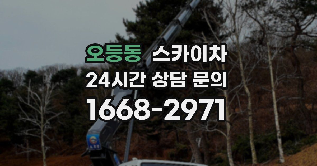 오등동 스카이차