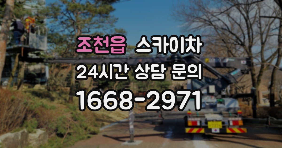 조천읍 스카이차