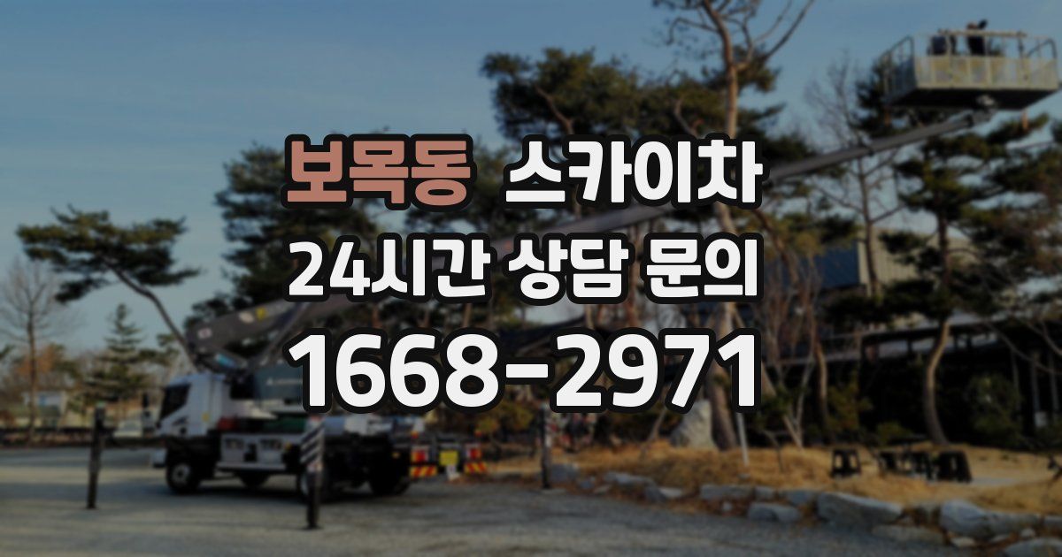 보목동 스카이차