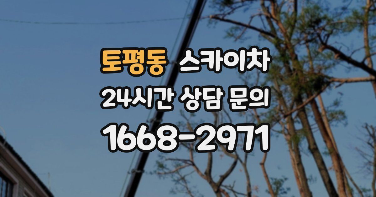 토평동 스카이차