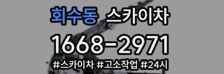 회수동 스카이차