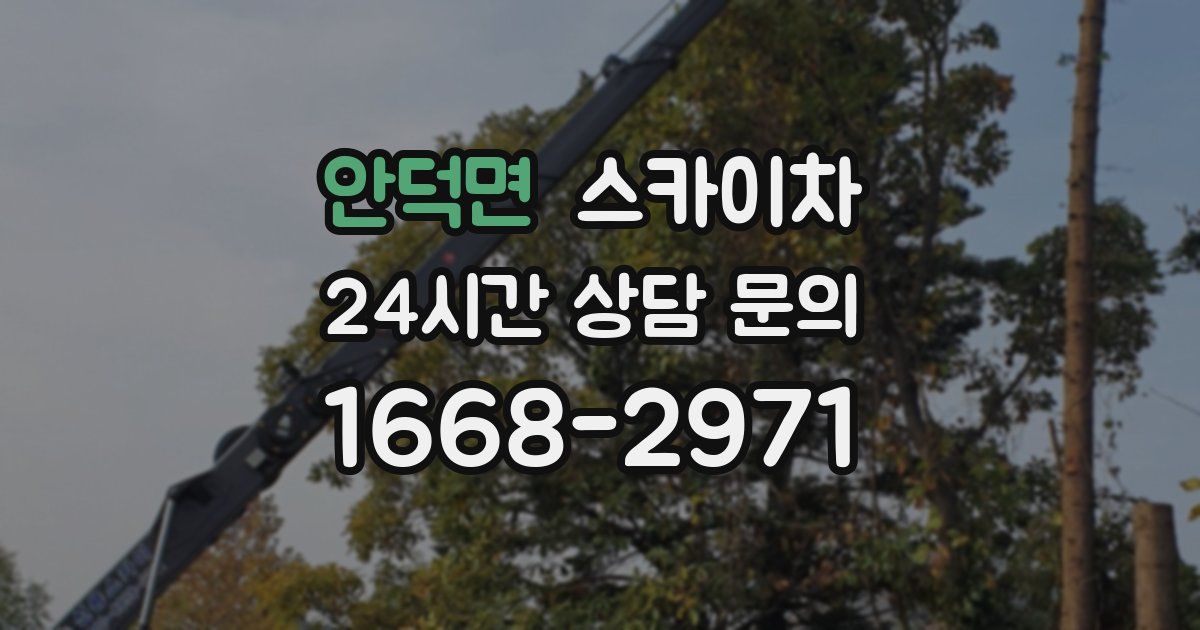 안덕면 스카이차