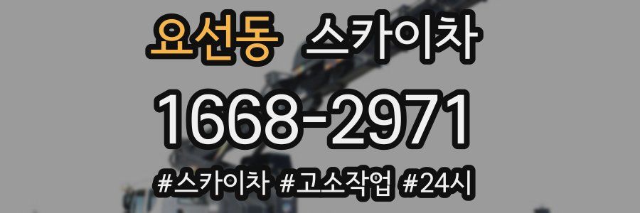 요선동 스카이차