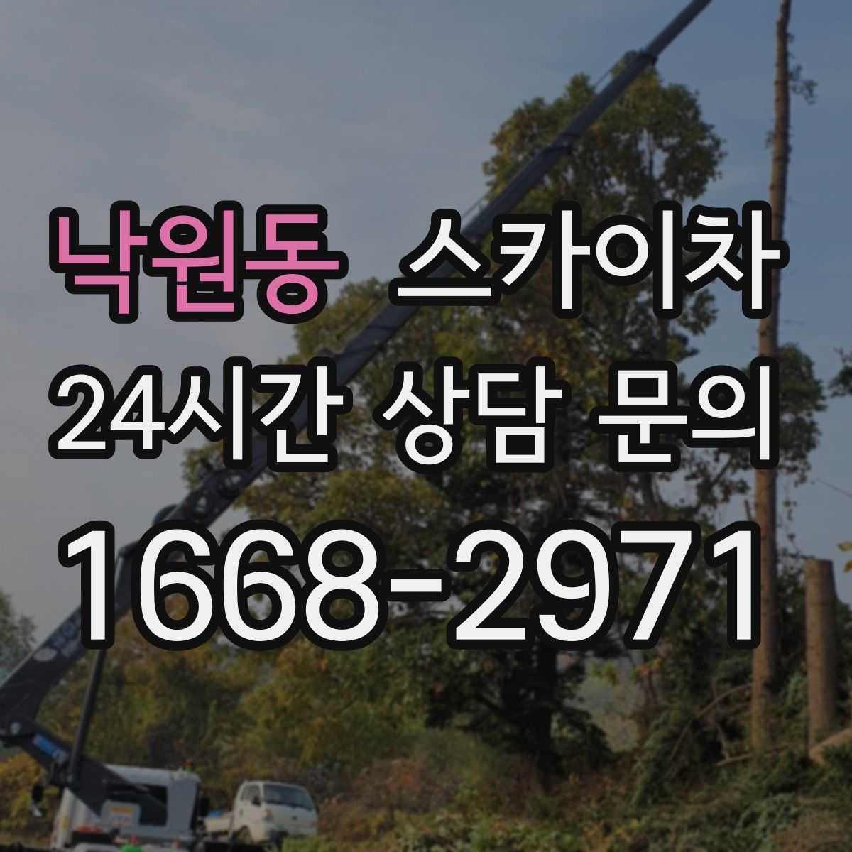 낙원동 스카이차