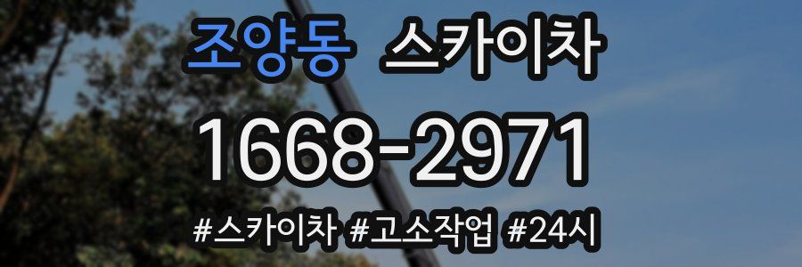 조양동 스카이차