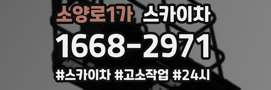 소양로1가 스카이차