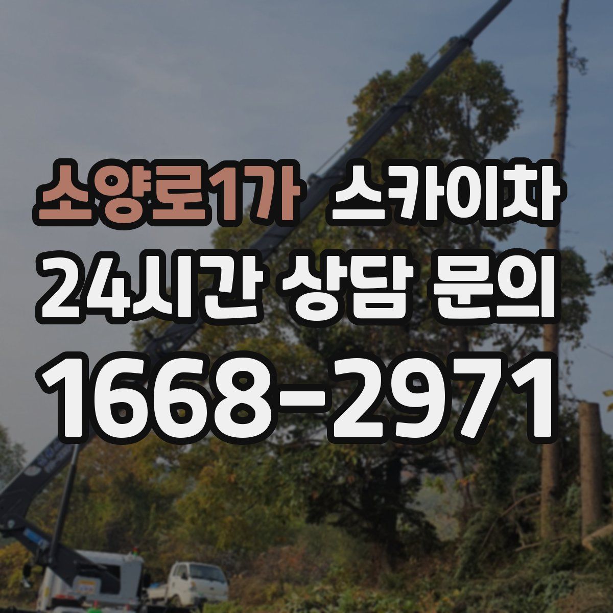 소양로1가 스카이차