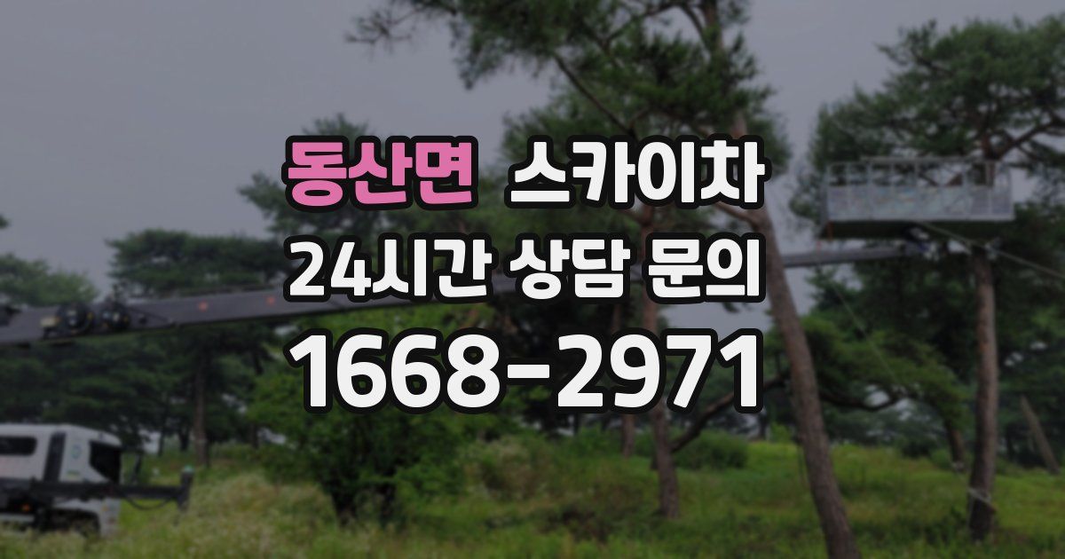 동산면 스카이차