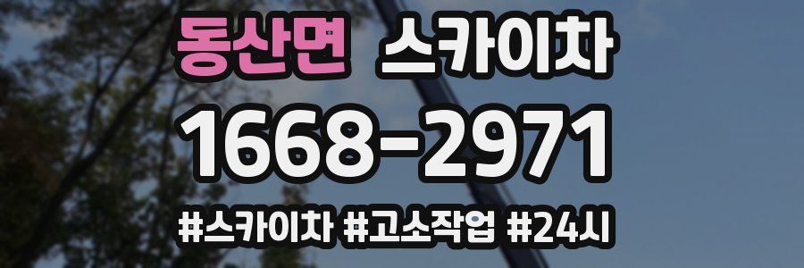 동산면 스카이차