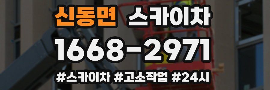 신동면 스카이차