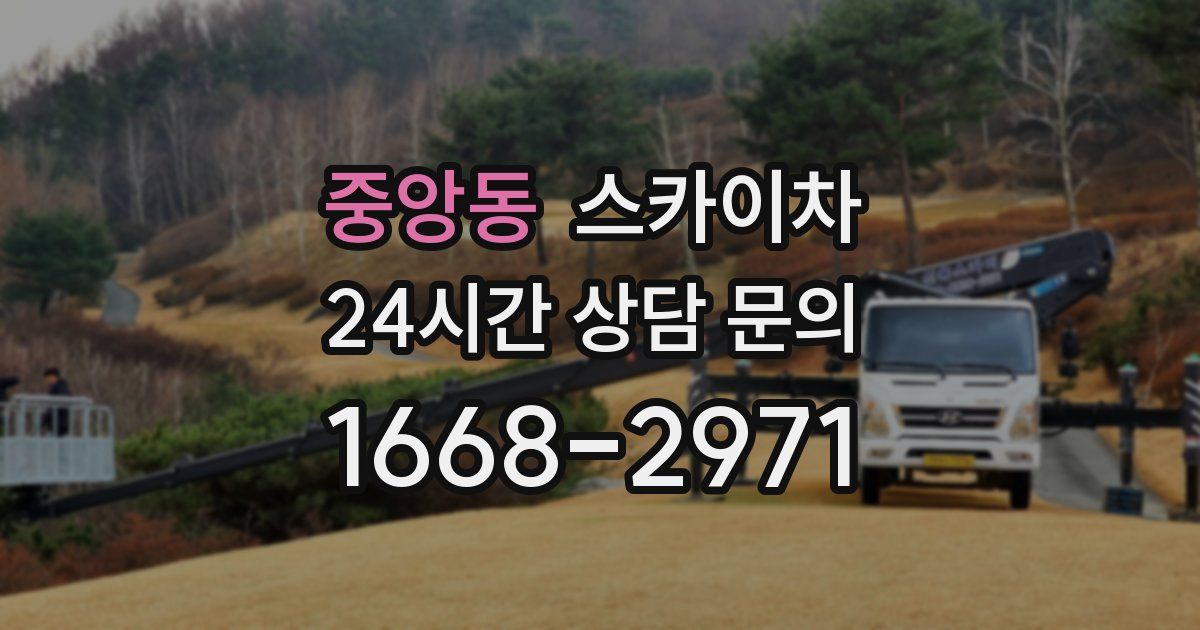 중앙동 스카이차