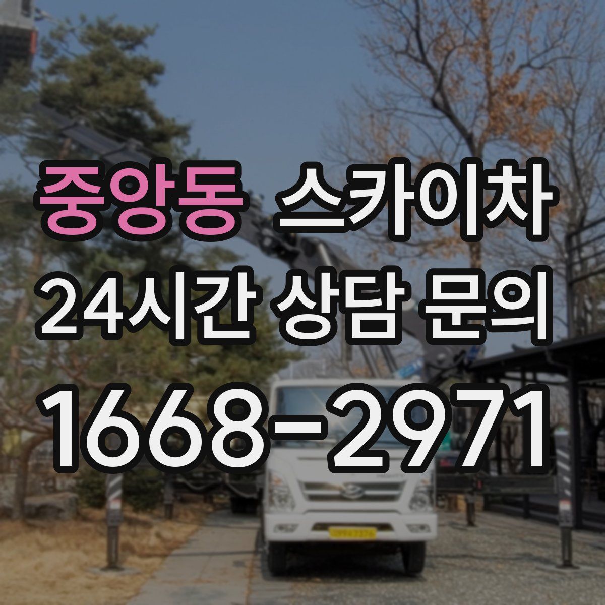 중앙동 스카이차