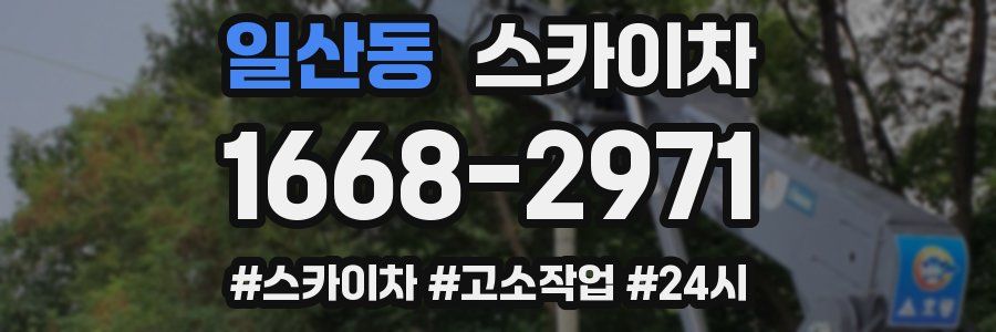 일산동 스카이차