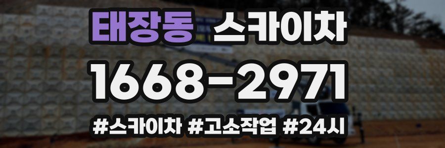 태장동 스카이차