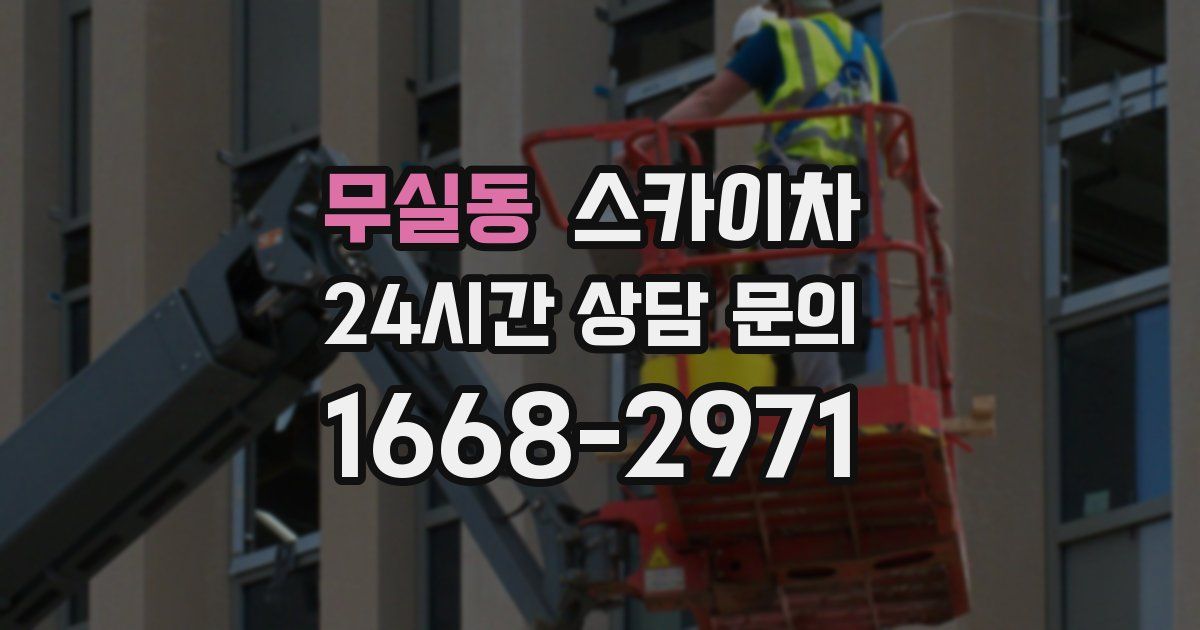 무실동 스카이차