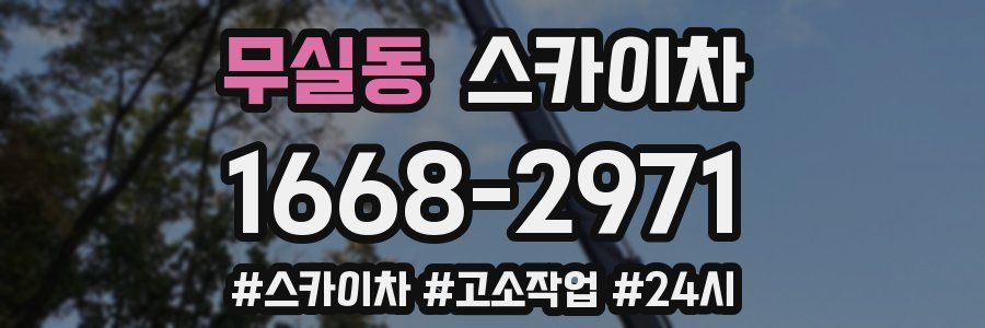 무실동 스카이차