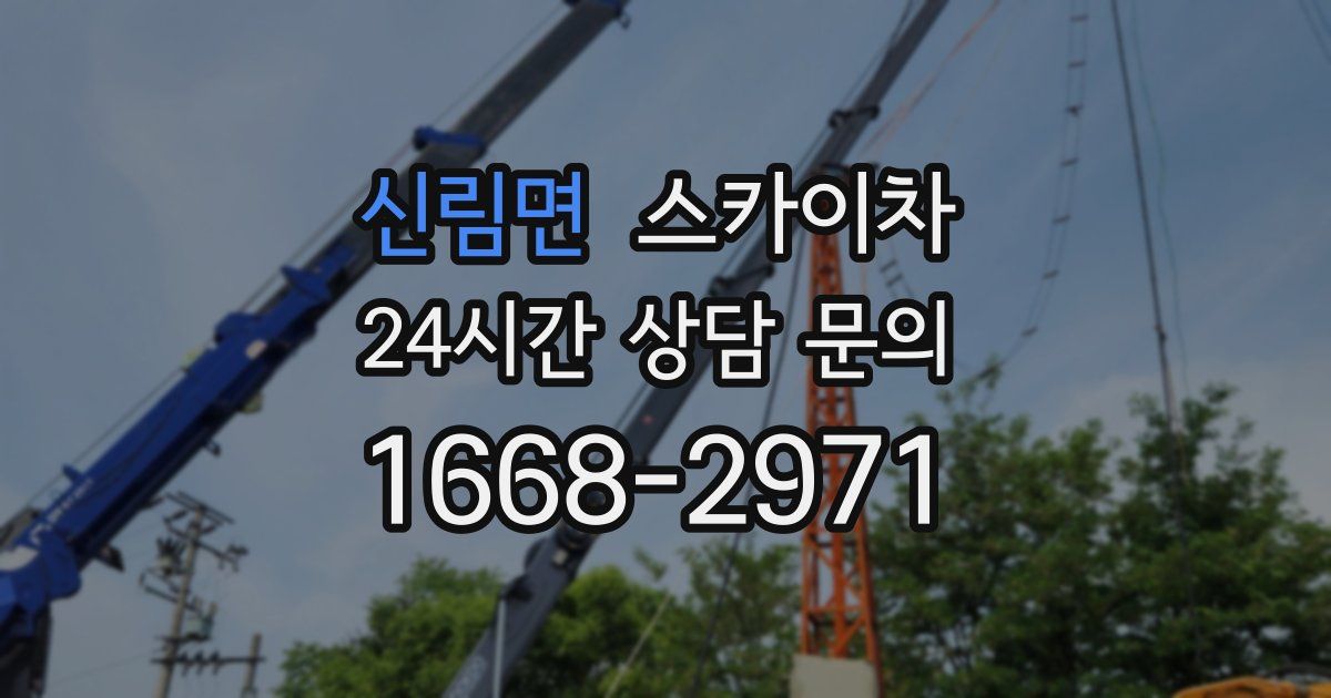 신림면 스카이차