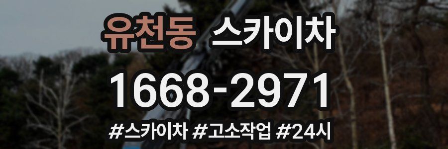 유천동 스카이차