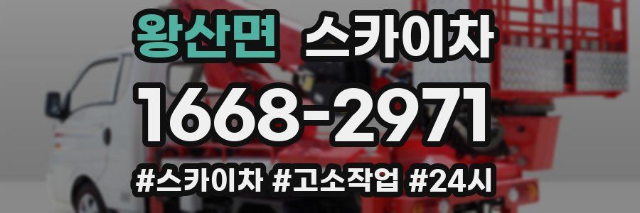 왕산면 스카이차