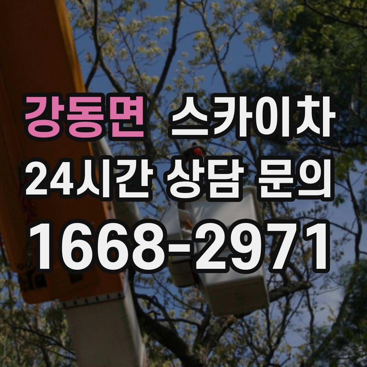 강동면 스카이차 병원 주변 작업 민원 줄이는 방법
